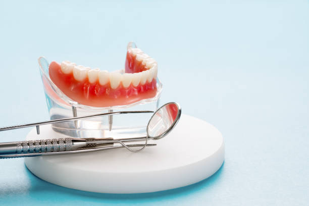 Professional Holistic Dental Care Services in New Lenox, IL